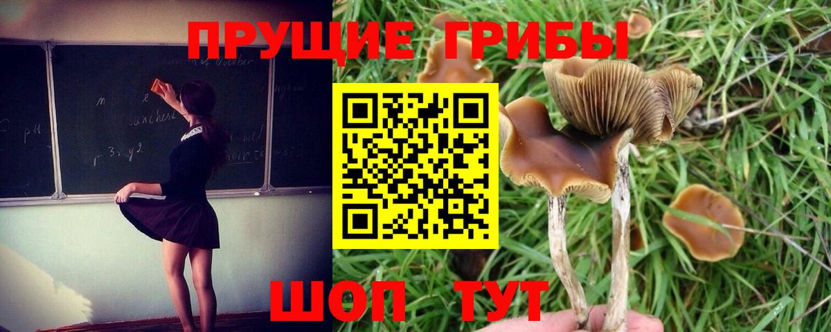 Галлюциногенные грибы MAGIC MUSHROOMS Белореченск